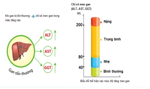 GGT b&igrave;nh thường ở mức dưới 60UI/L
