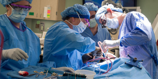 Các bác sĩ trong một ca phẫu thuật cho bệnh nhân