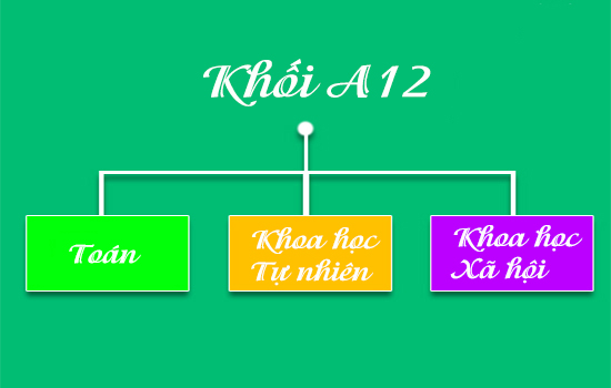Môn thi khối A12 gồm những gì? Khối A12 học trường nào?