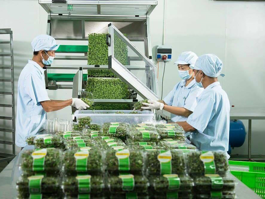 Ngành Công nghệ sau thu hoạch là gì? Nên học ở đâu?