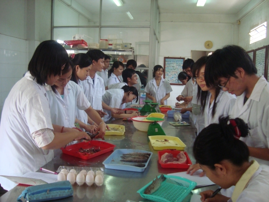 Mức lương ng&agrave;nh C&ocirc;ng nghệ sau thu hoạch t&ugrave;y thuộc v&agrave;o kinh nghiệm của mỗi người