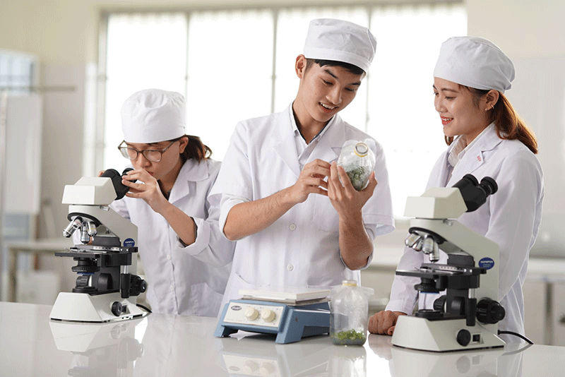 nganh-cong-nghe-sinh-hoc-ra-lam-gi