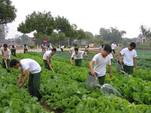 nganh-hau-can-quan-su