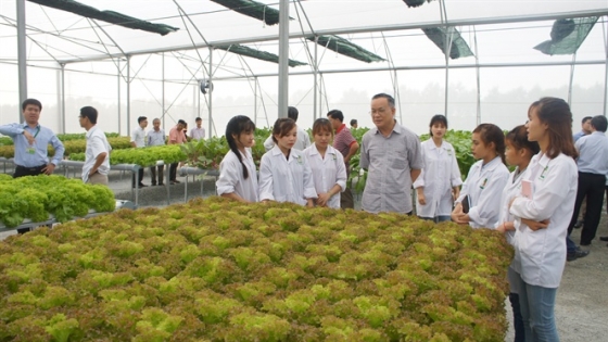 nganh-kinh-te-nong-nghiep-cao