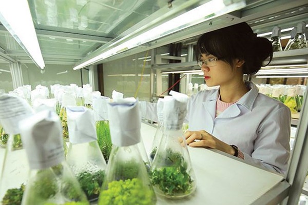 nganh-kinh-te-nong-nghiep