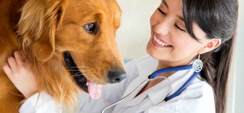 nganh-thu-y-hoc-may-nam