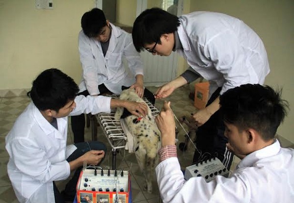 nganh-thu-y-trong-tuong-lai