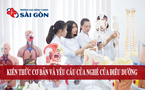 Những kiến thức cơ bản của Điều dưỡng mà bạn nên biết
