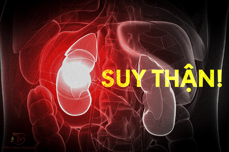 Những phương pháp nào dùng để điều trị suy thận?