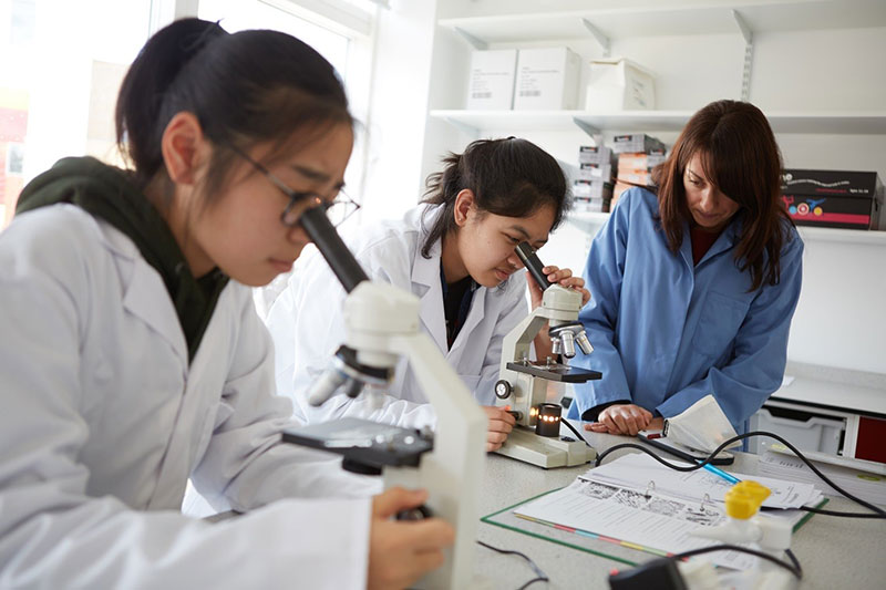 Học dược c&oacute; nhiều cơ hội xin việc l&agrave;m khi ra trường