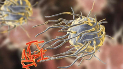 Thu&ocirc;́c haginat 125 đi&ecirc;̀u trị các trường hợp vi&ecirc;m nhi&ecirc;̃m