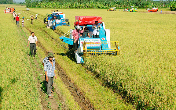 Tái cơ cấu ngành nông nghiệp là gì? Kế hoạch thực hiện tái cơ cấu ngành nông nghiệp?