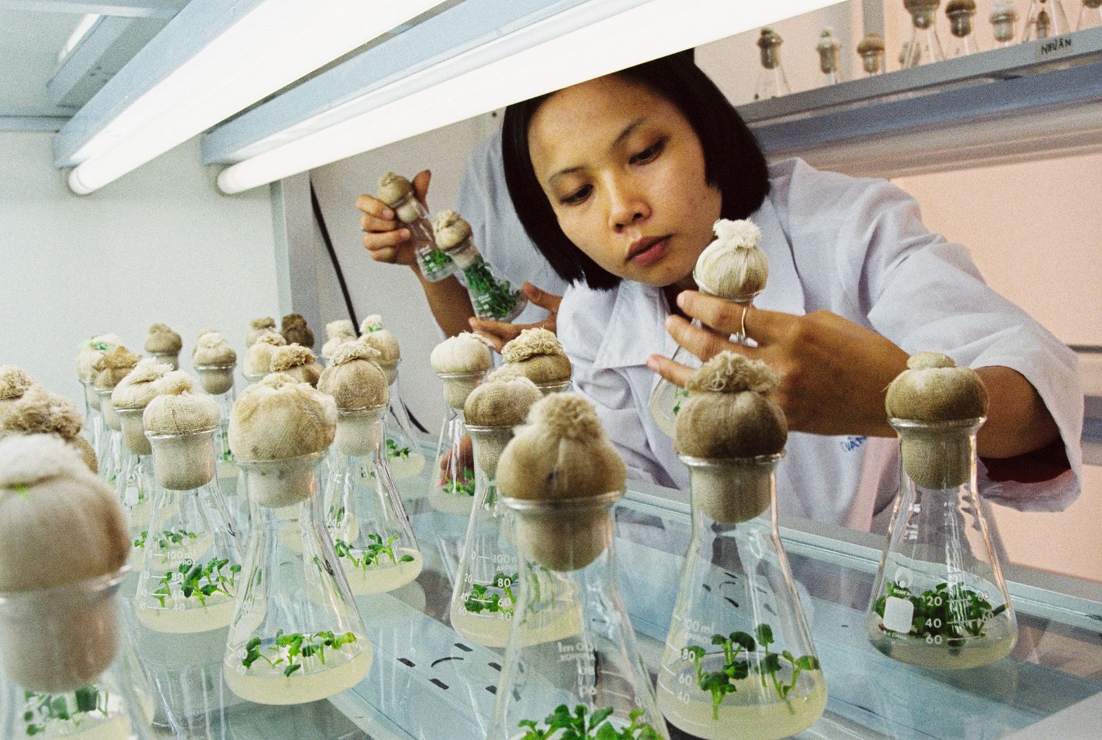 nhu-cau-nhan-luc-nganh-cong-nghe-sinh-hoc