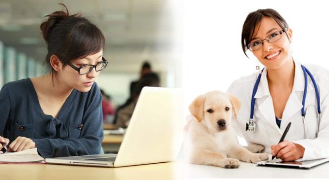 Tìm hiểu các trường Đại học có ngành Thú y và điểm chuẩn những năm trước