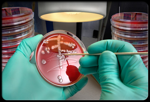 Cefixime rất hiệu quả trong điều trị c&aacute;c bệnh nhiễm tr&ugrave;ng do vi khuẩn g&acirc;y n&ecirc;n