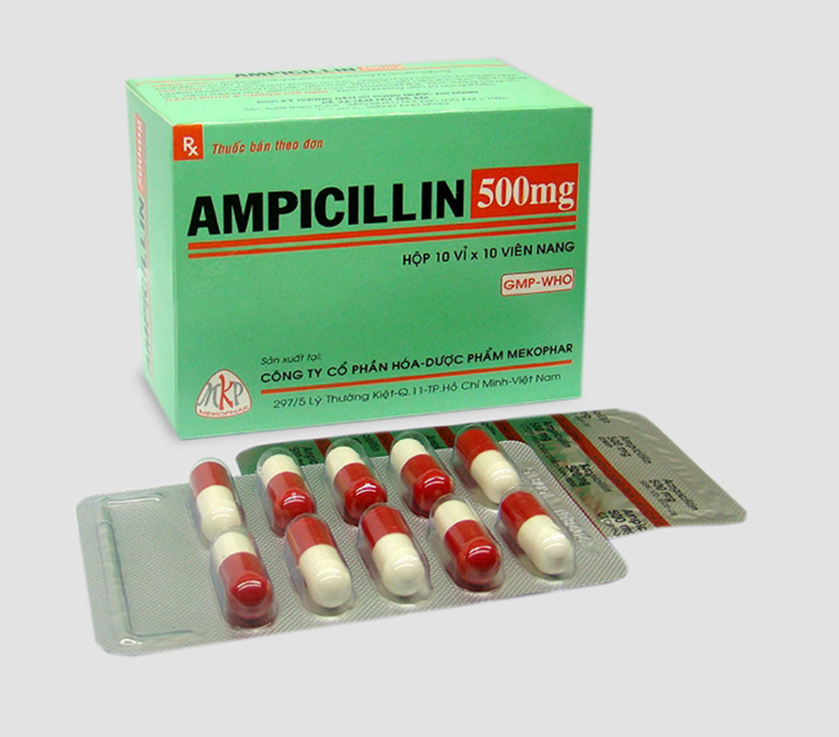 Trước khi dùng thuốc Ampicillin bạn nên biết những gì?