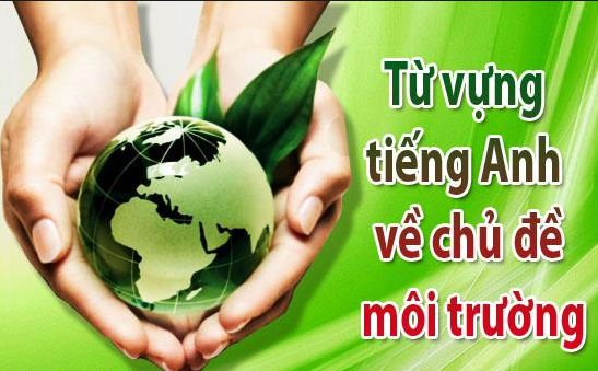 tu-vung-tieng-anh-chuyen-nganh-moi-truong
