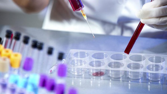 Glucose rất quan trọng với cơ thể con người